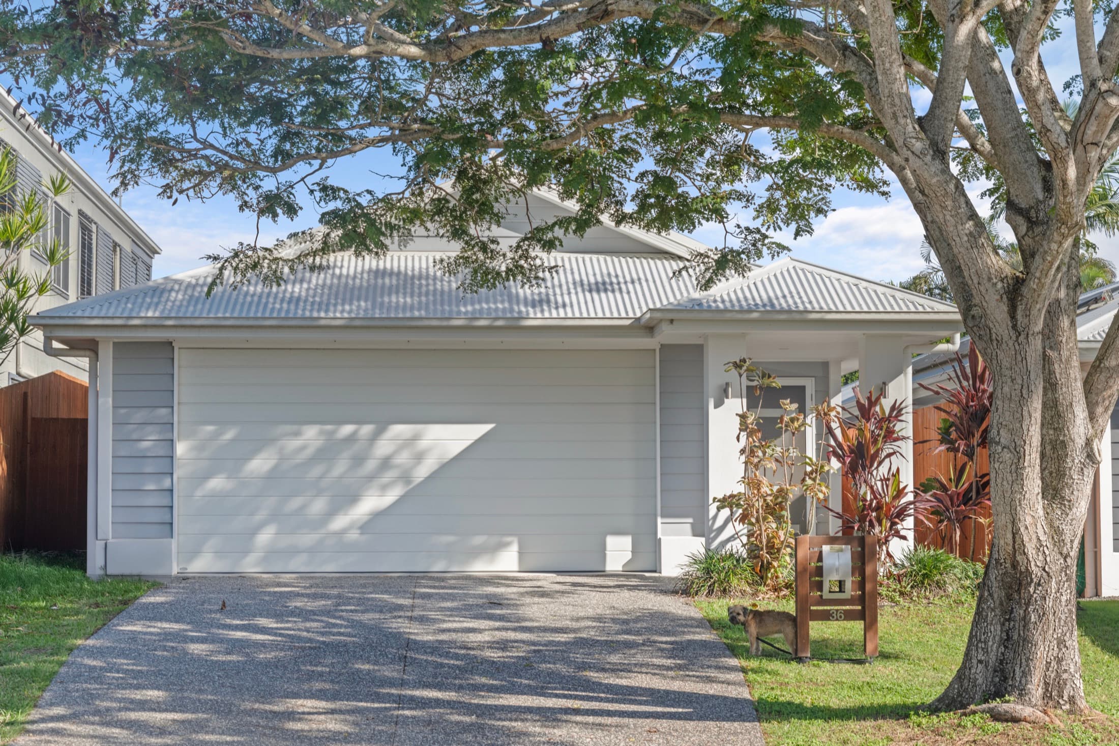 Repositioned a no-pets listing and lifted enquiry volume